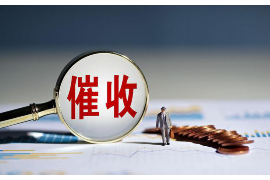 江城为什么选择专业追讨公司来处理您的债务纠纷？